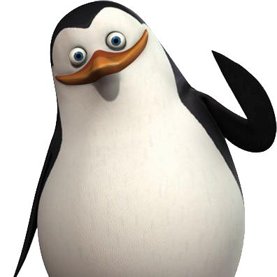 一只小企鹅🐧🐧