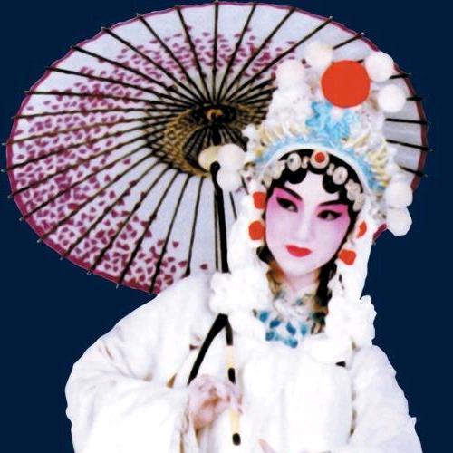 王大姐（郑州）