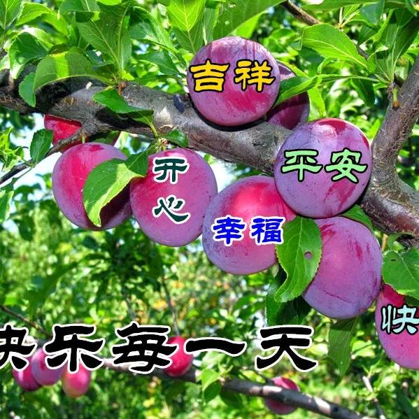 喜欢就好，开心每一天