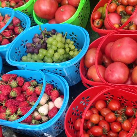 济宁鲁嘉采摘园