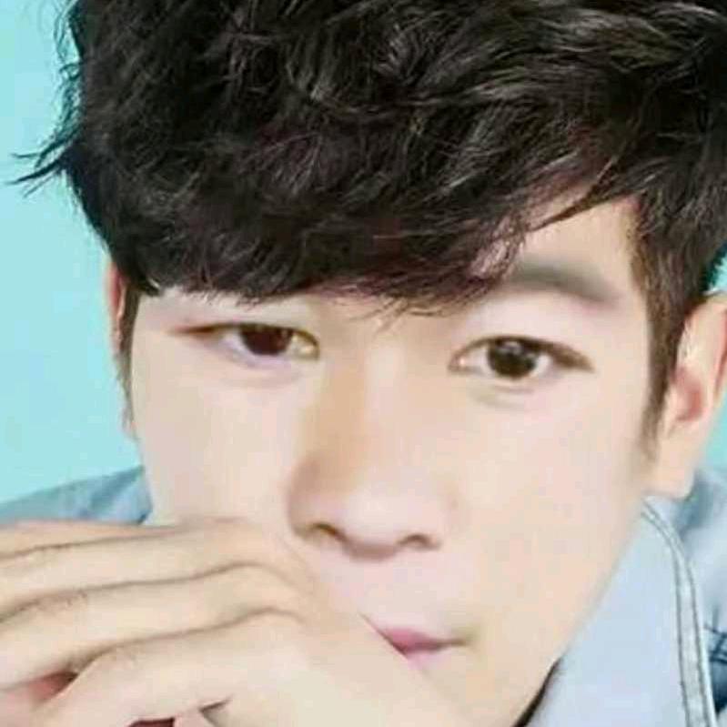 桉木单板加工厂小乐哥