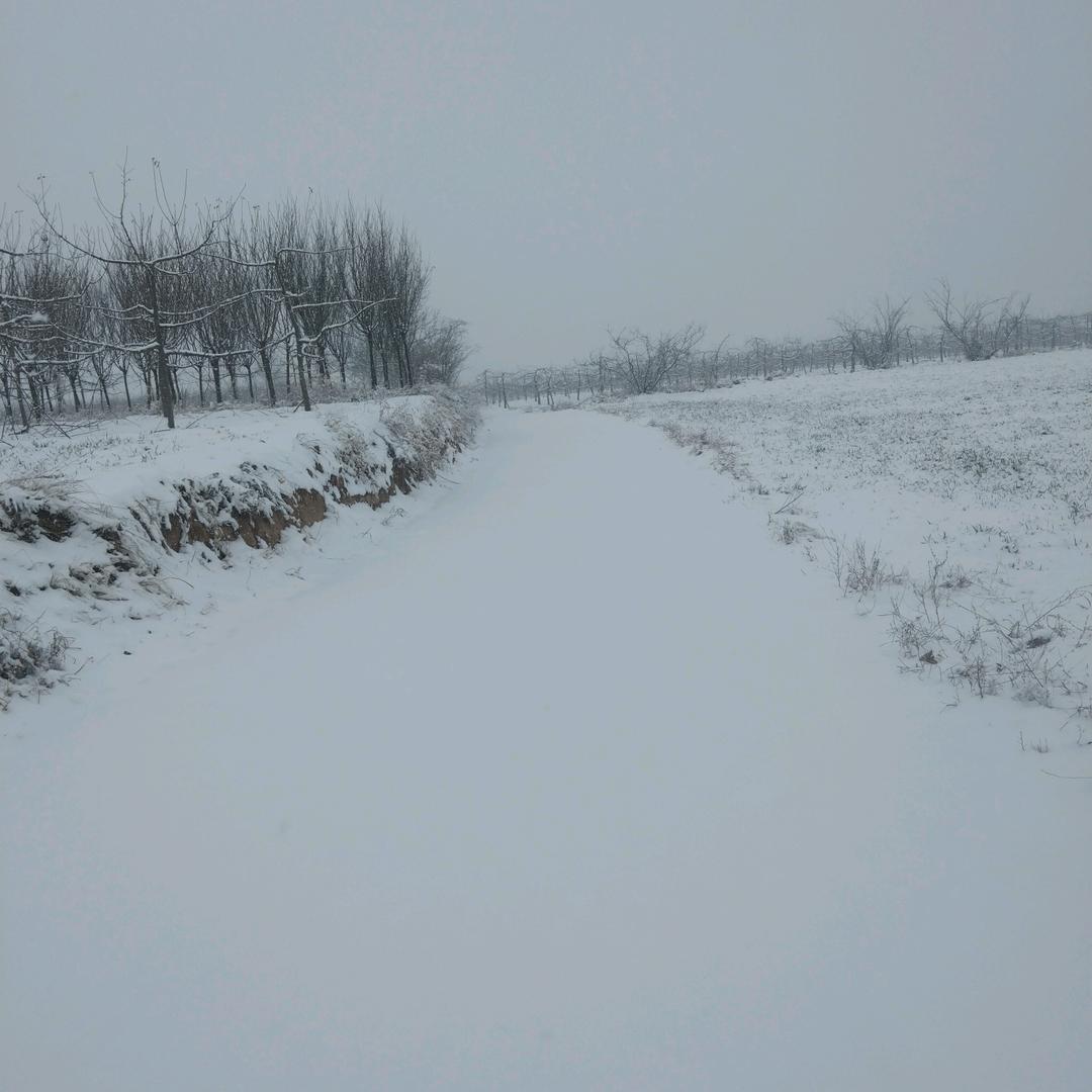 🚬ঞৣঁপ᭄᪲羽☬艾꫞꧂