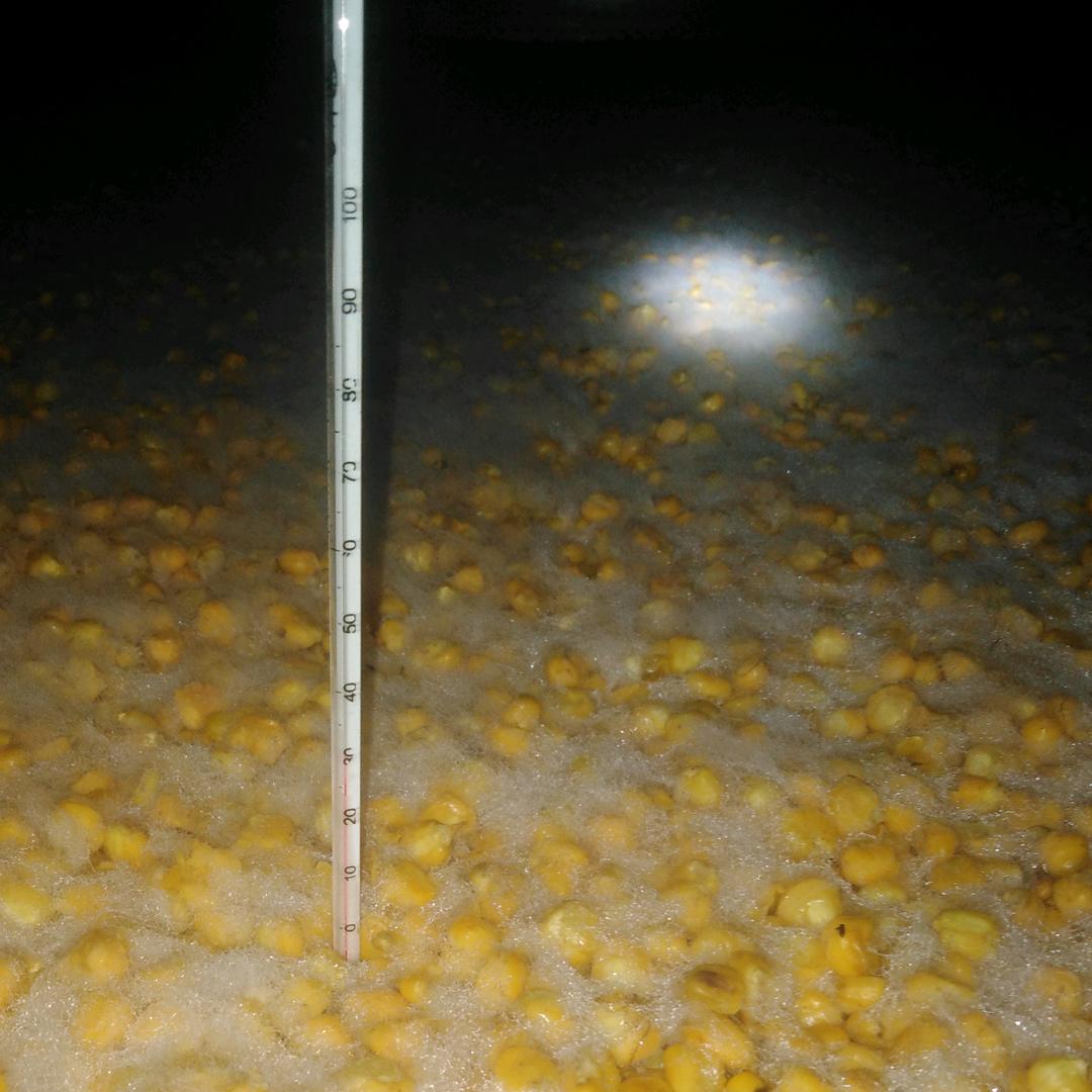 黑子   唧吧哆    固态地缸发酵