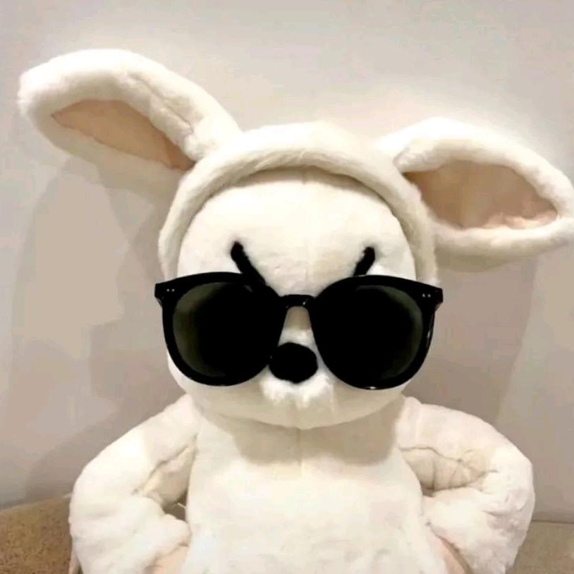 南方景园公寓出租