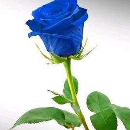 深藏BLUE