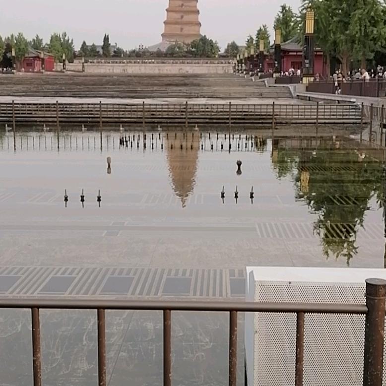 人生无意，