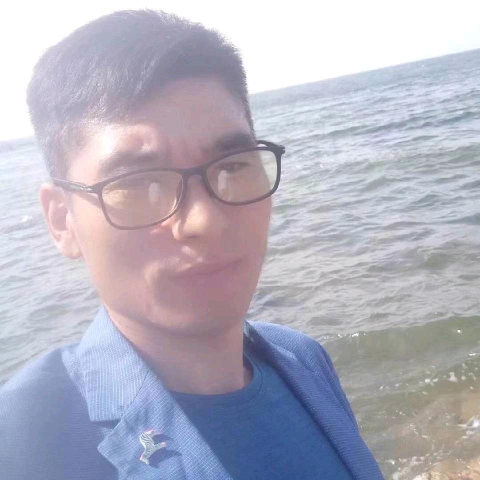 大龙