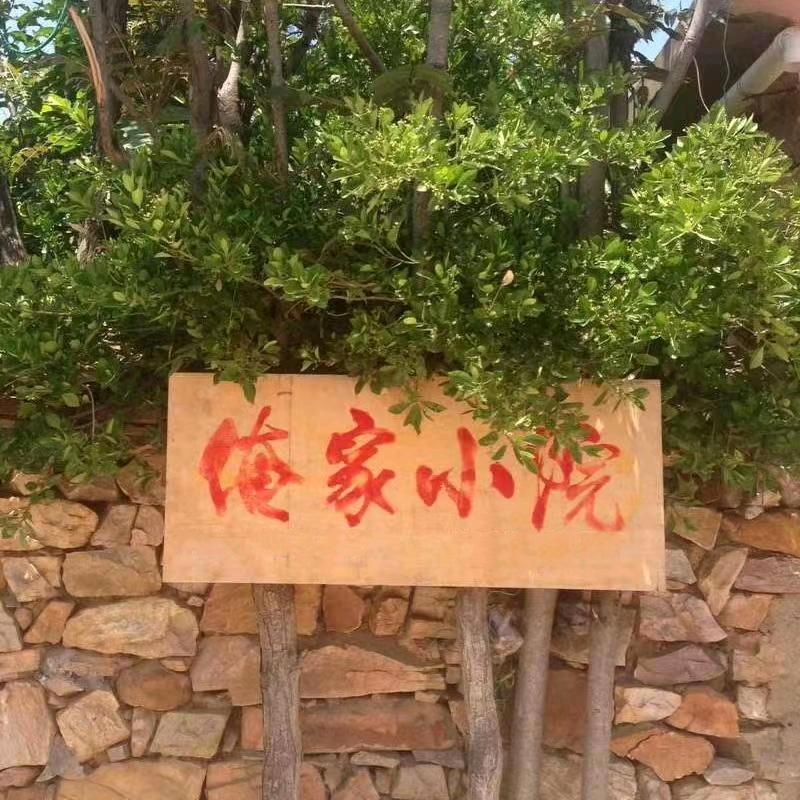 俺家小院渔家民宿