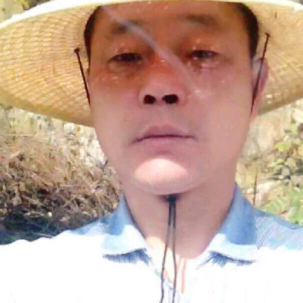 ：南风向北