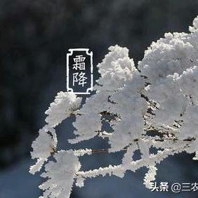 二飞粮食购销玉米小麦