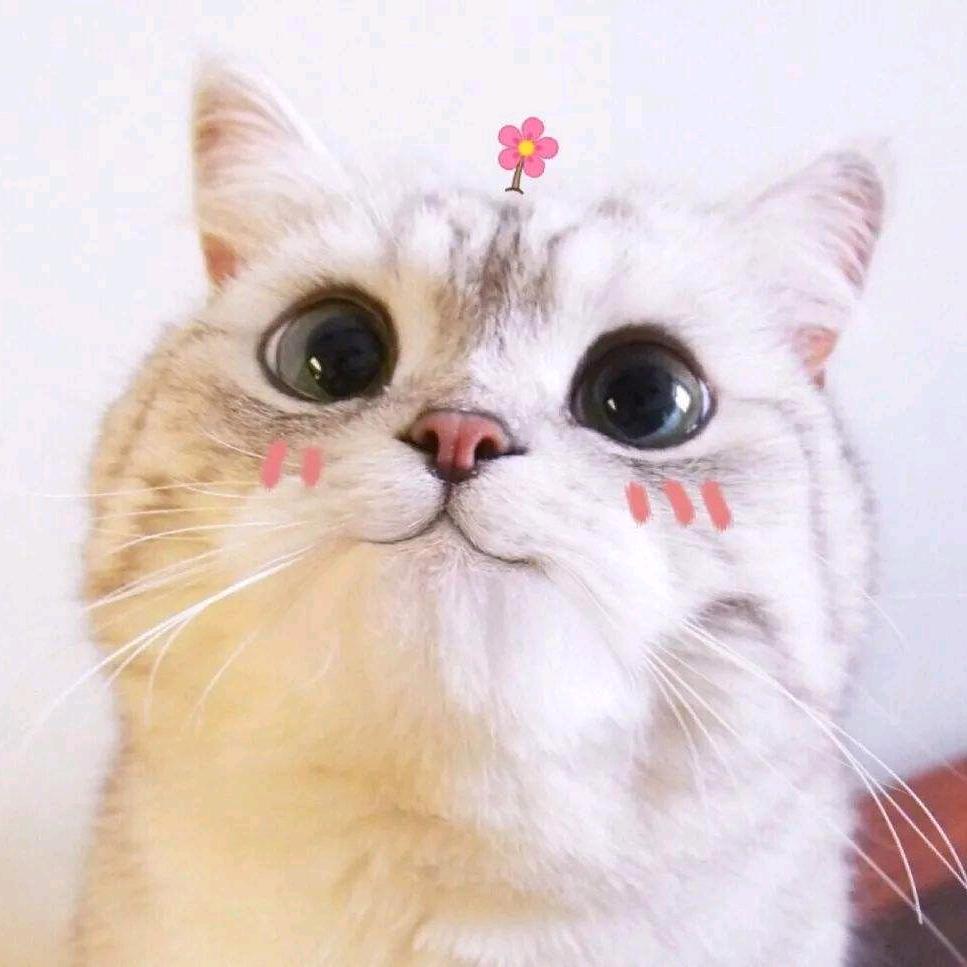 猫也眼镜小铺