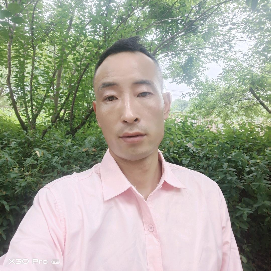 情人的眼泪