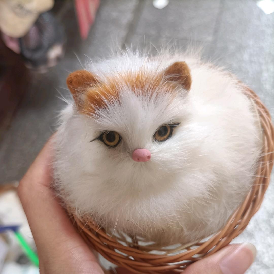 过客