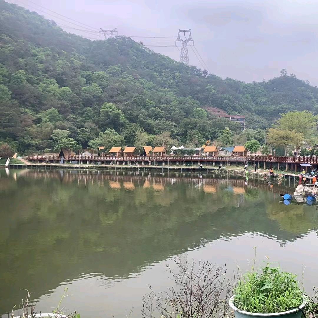 爆杆神塘钓场(南杨店)官方号