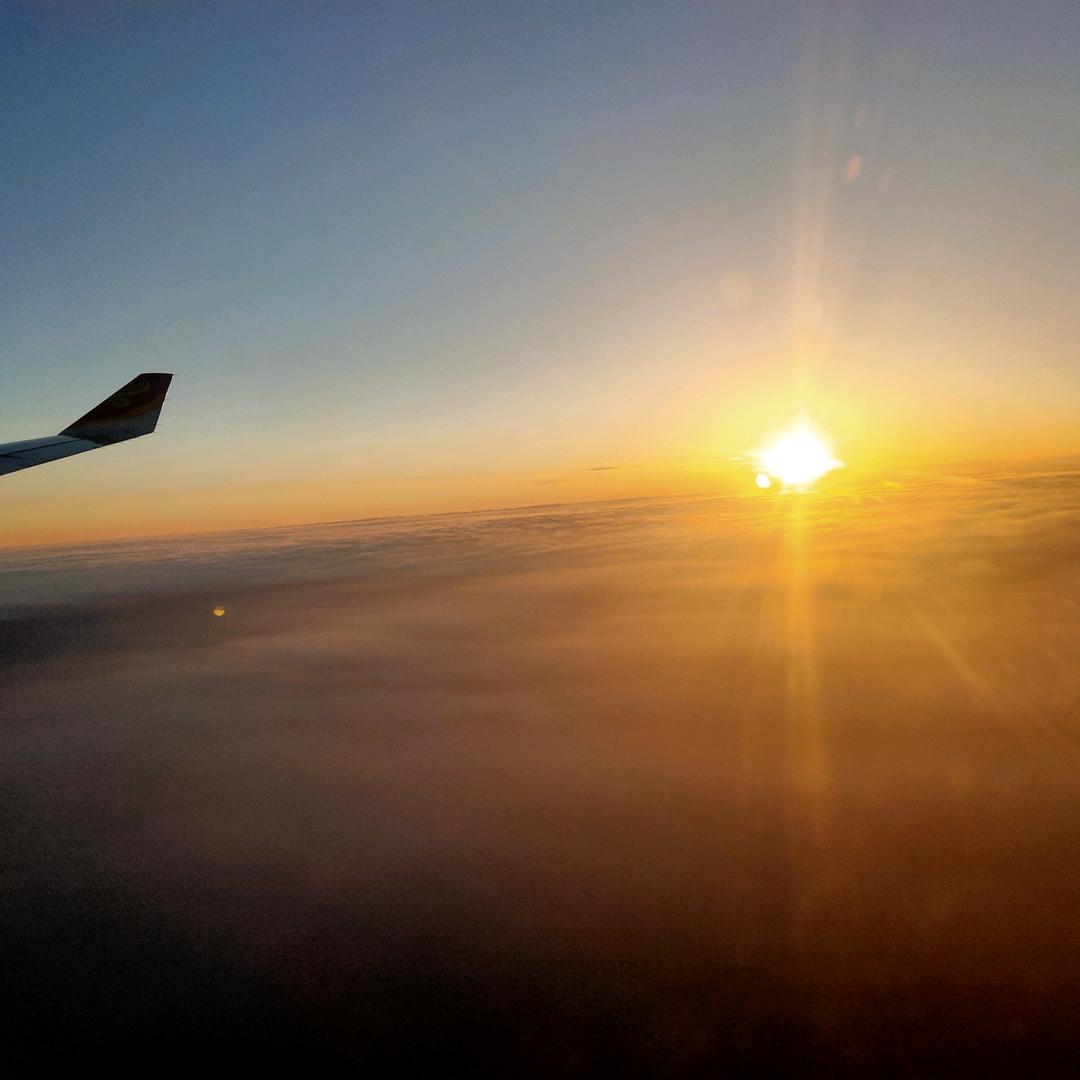 防腐、保温、起重机