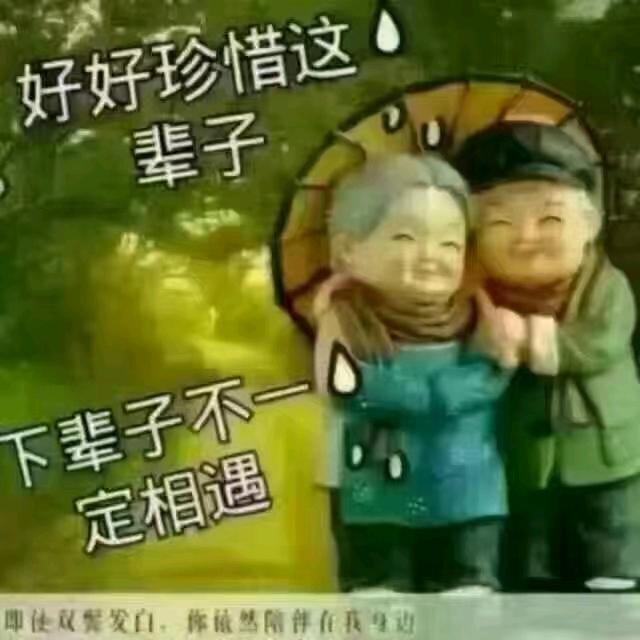 追追追...