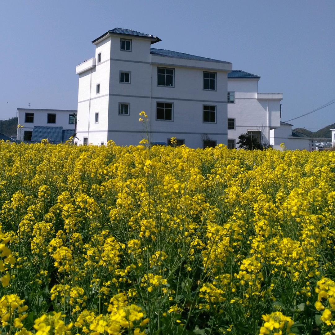 家明