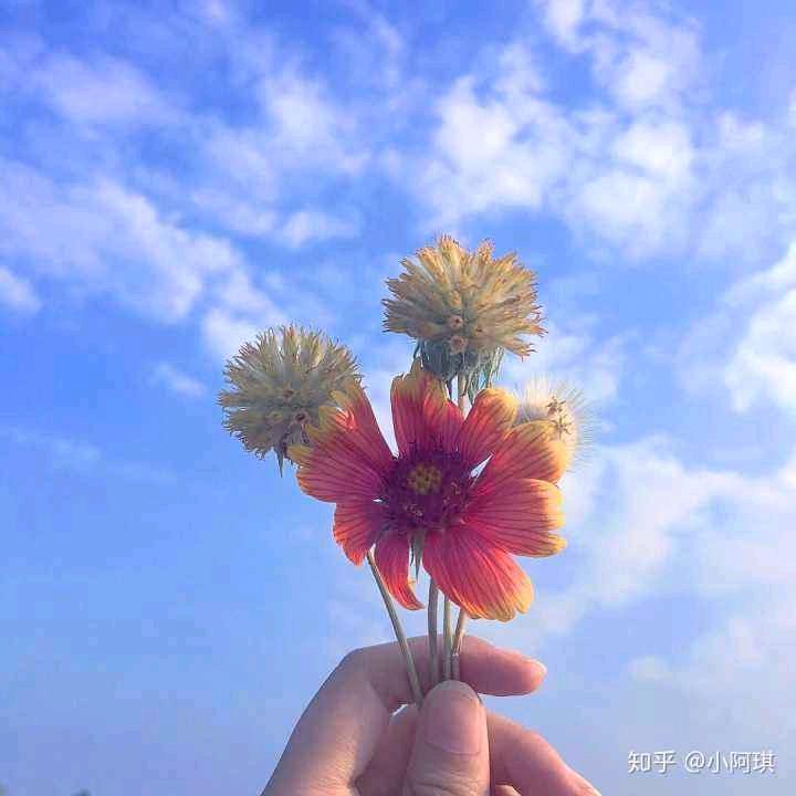 周小肉 ᥫᩣ໌້ᮨ໌້ᮨ