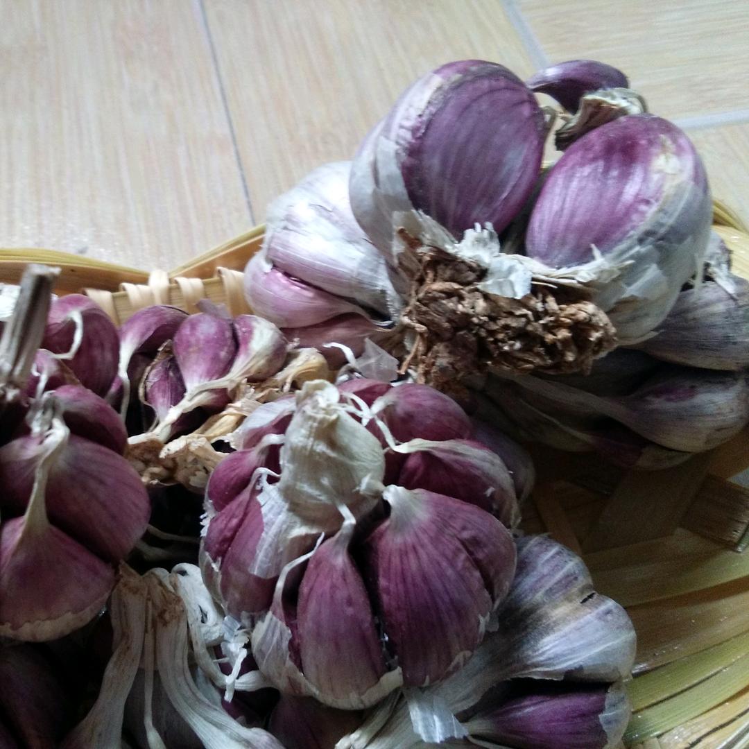 云南农副土特产馆