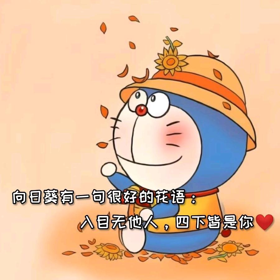 哆啦A梦的梦