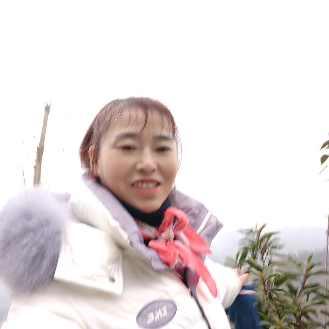 路在何方