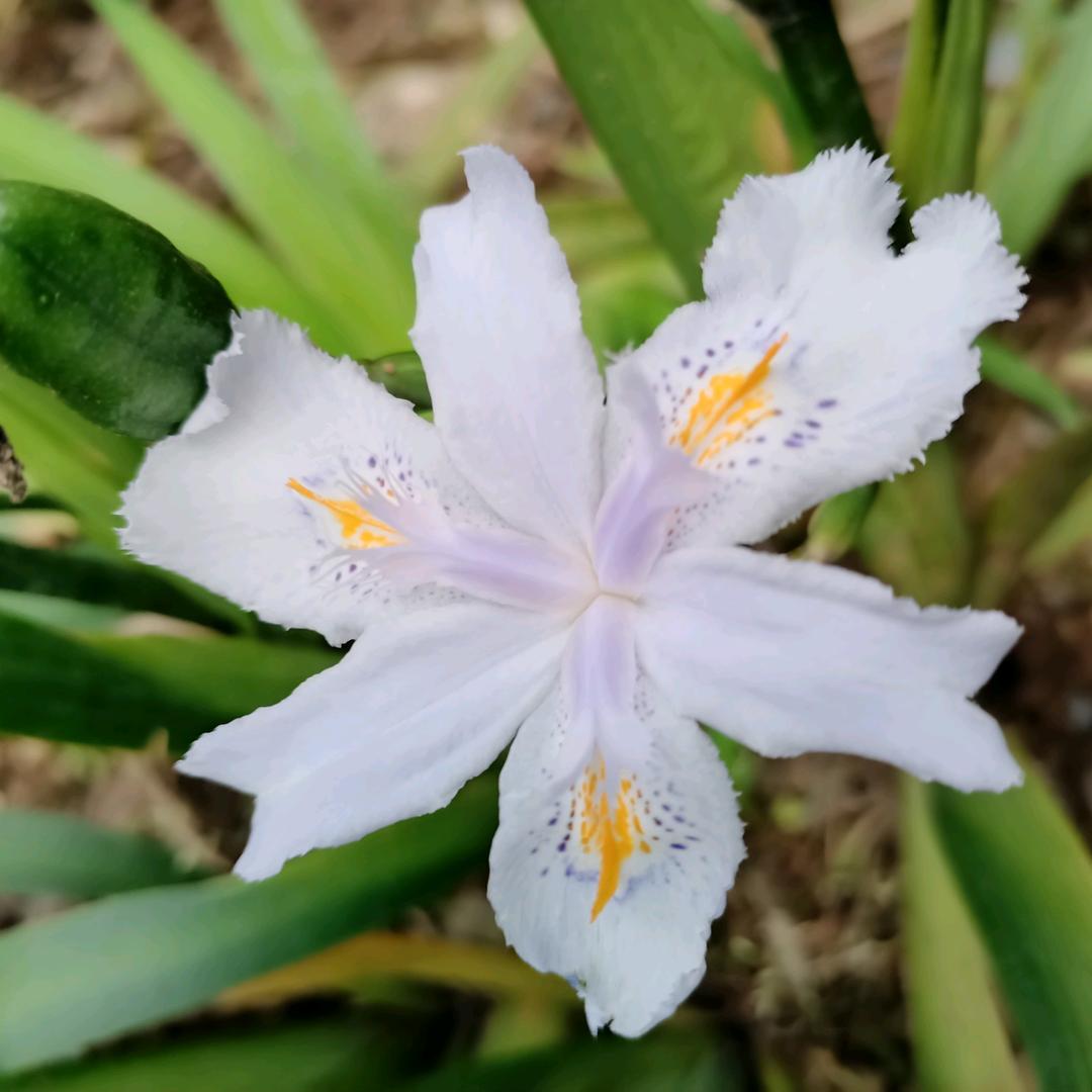 小院里面