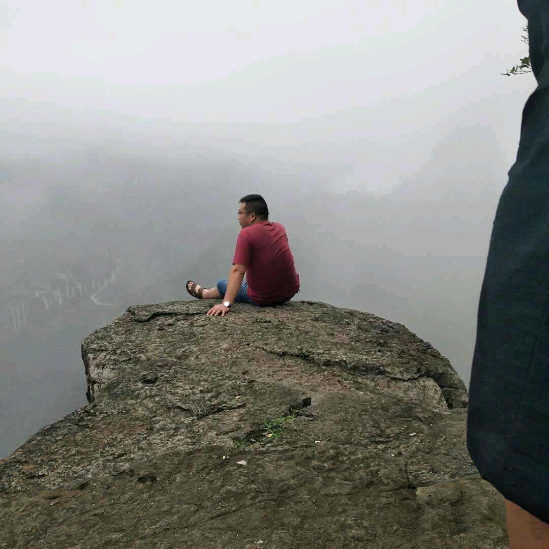 想入菲飞