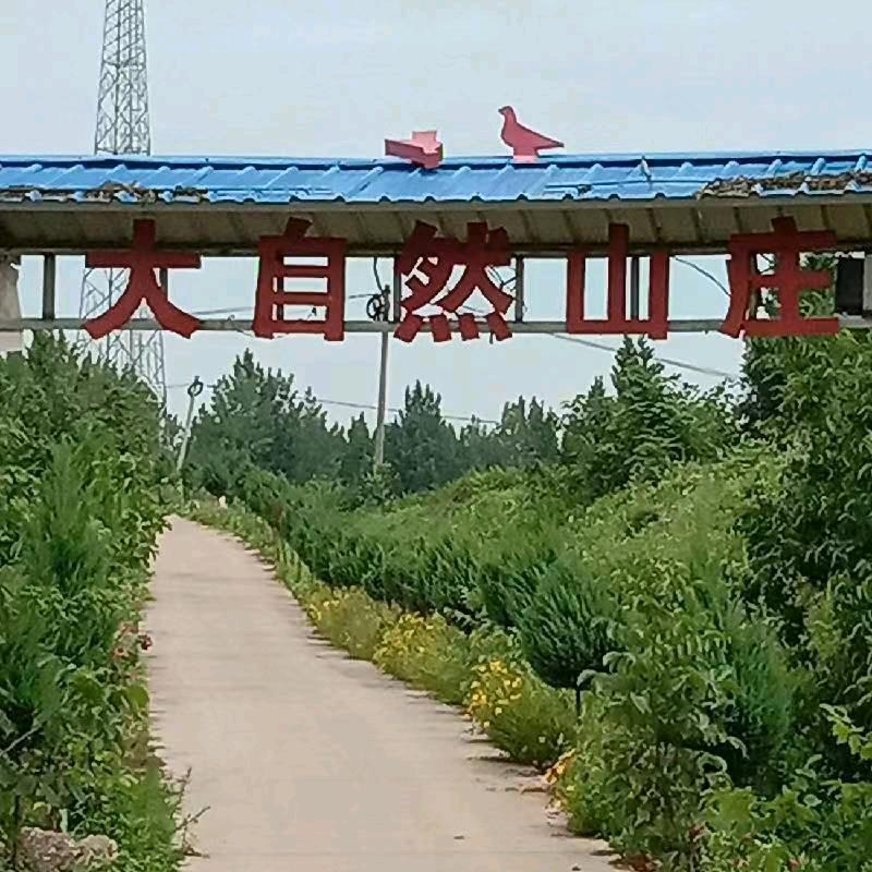大自然山庄欢迎你