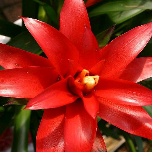 一切都是最好的安排