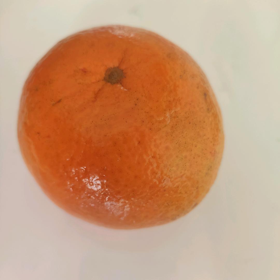 芝奥昭昭头像