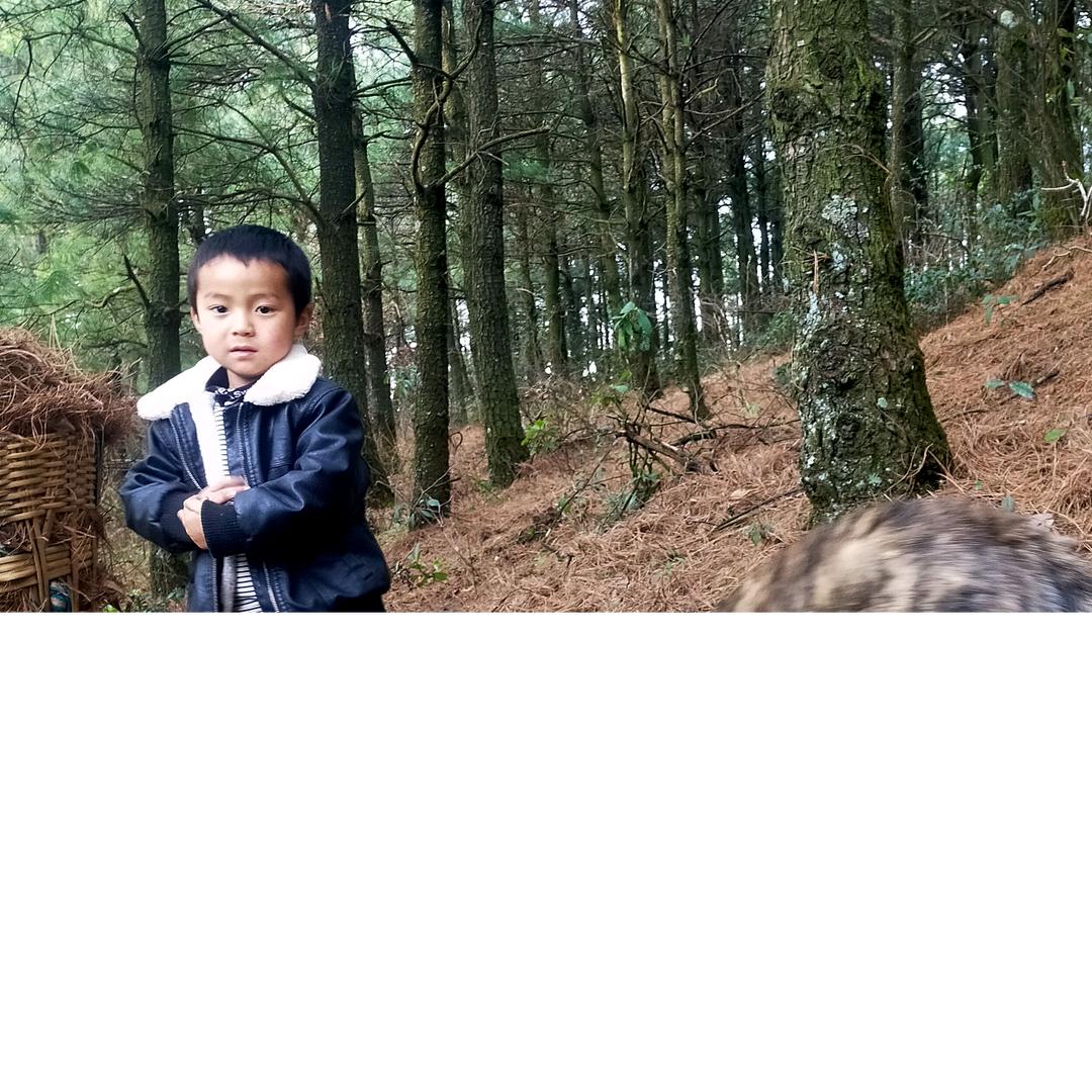 没有