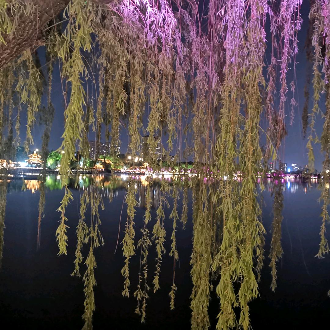 暮色罩沧烟