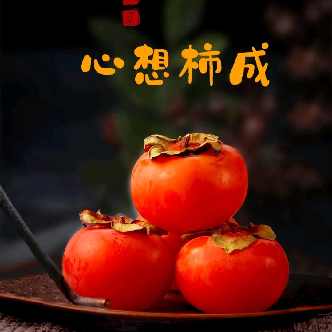 九君