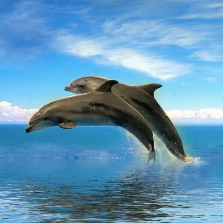 我在哪里等着你