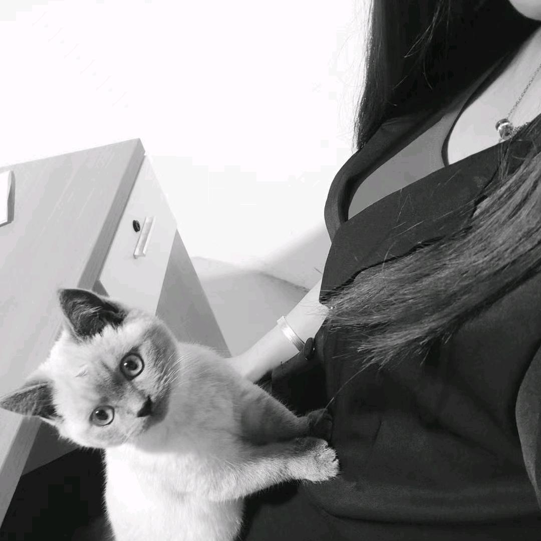 释心