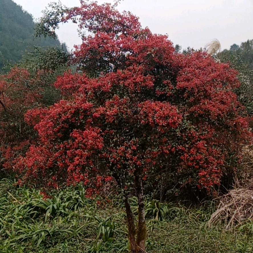 钻孔，打孔，深孔