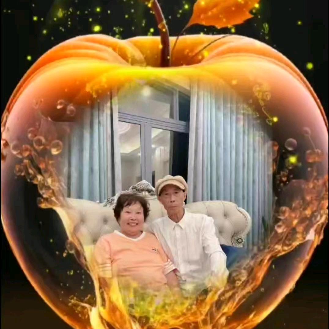 -吉多多