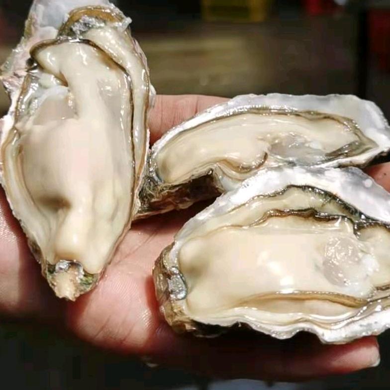 万邦666生蚝批发小龙虾大闸蟹