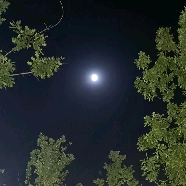 那年风月