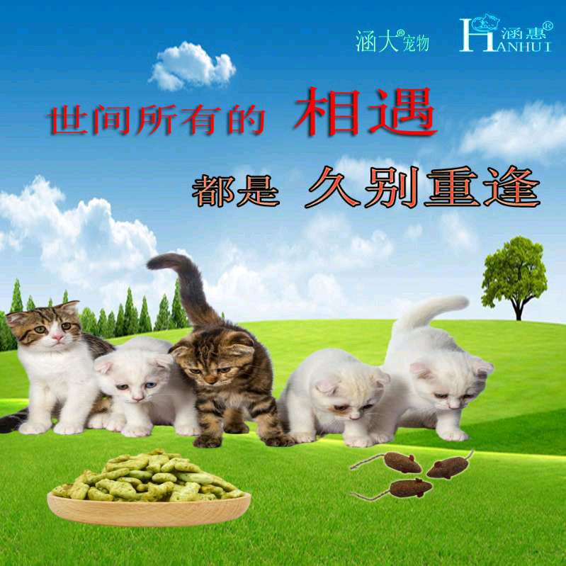 涵大宠物