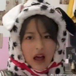 卷毛清清