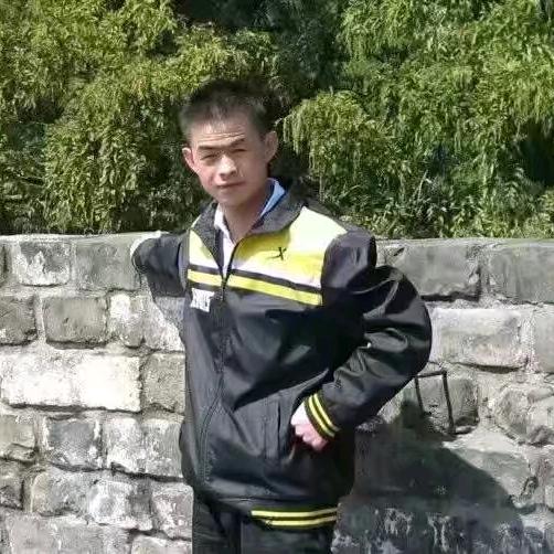 大别山的小棉羊