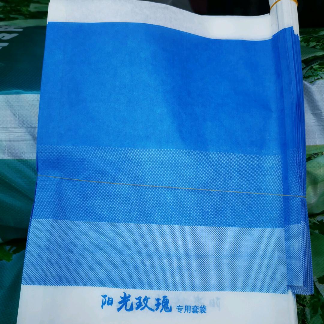 葡萄套袋—工厂直销