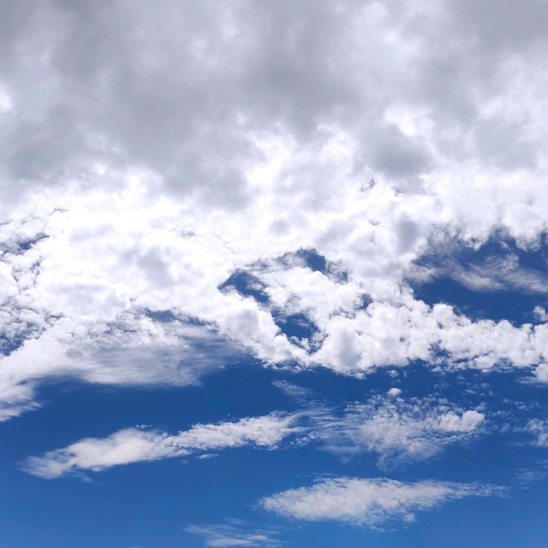 我有两个皮夹克