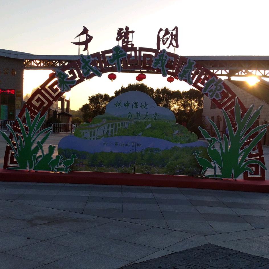 王琴玉