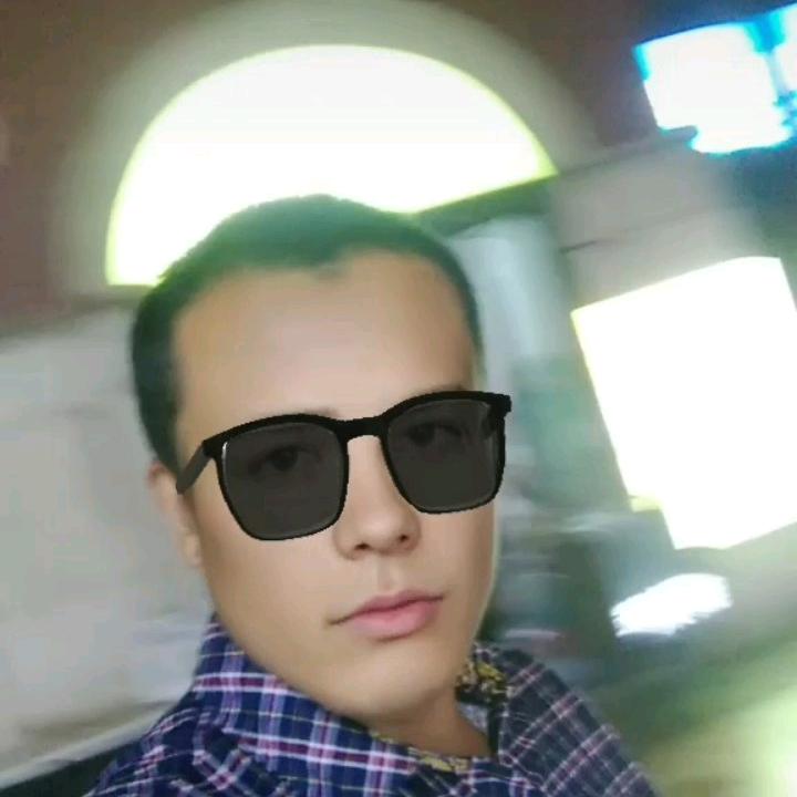 杨海燕:海中飞燕，燕中之王