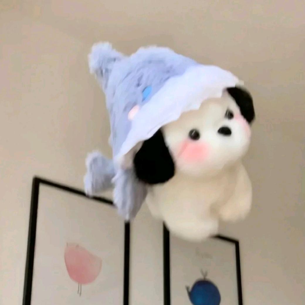 老师小狗腿