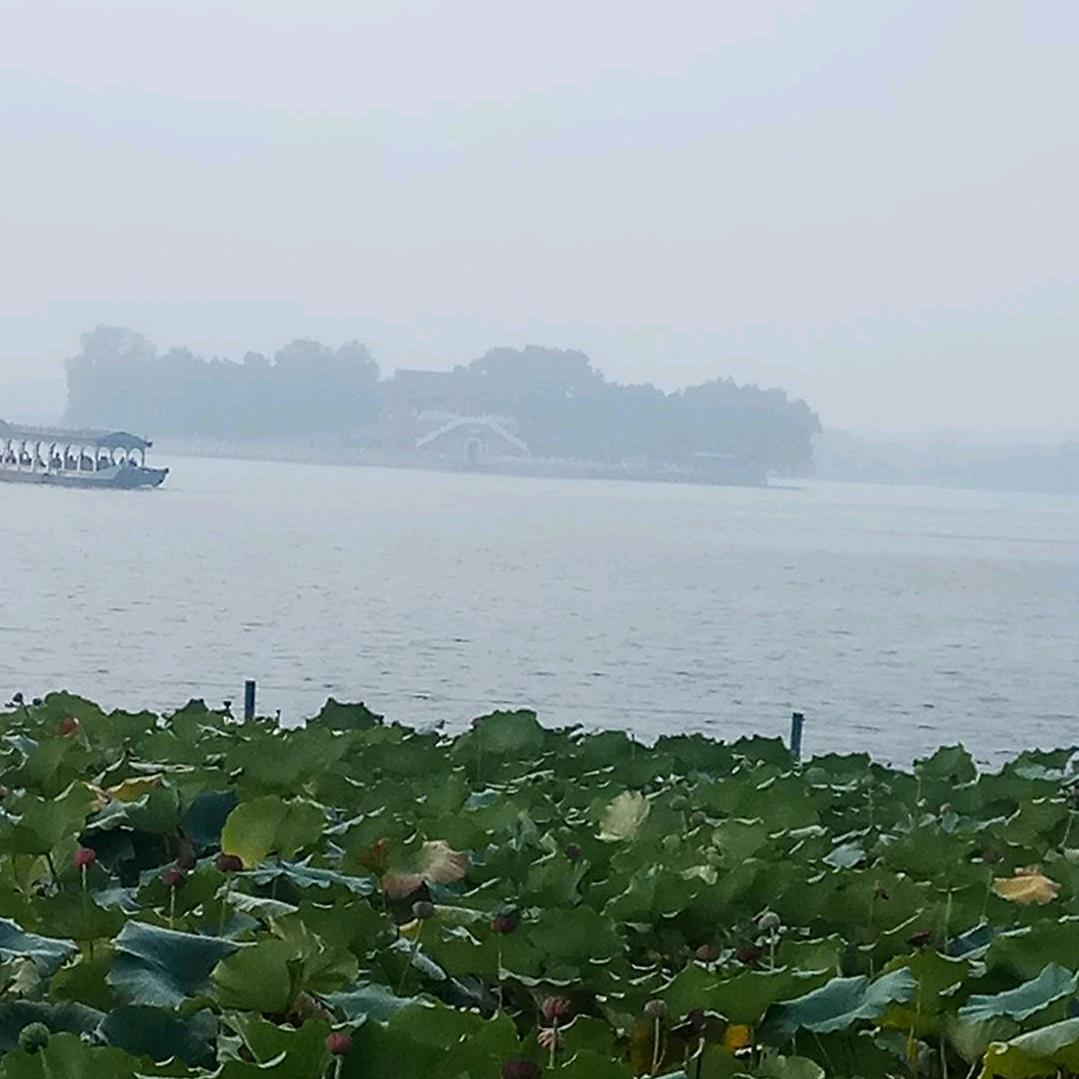 聶寧農惱腦