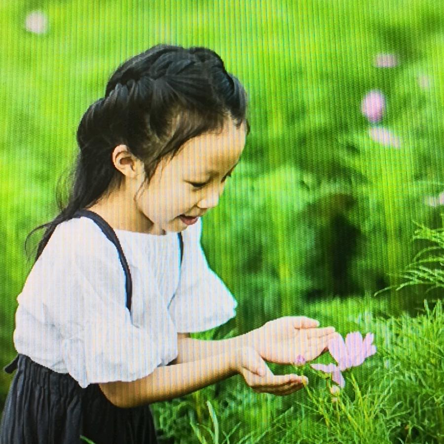 海州云台山葛根酥