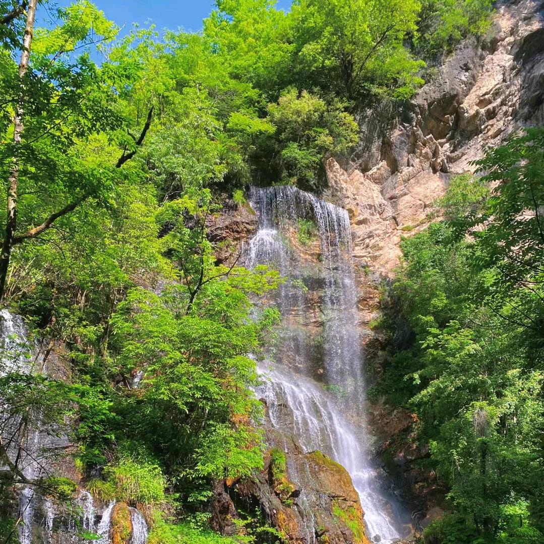 鸿鹄